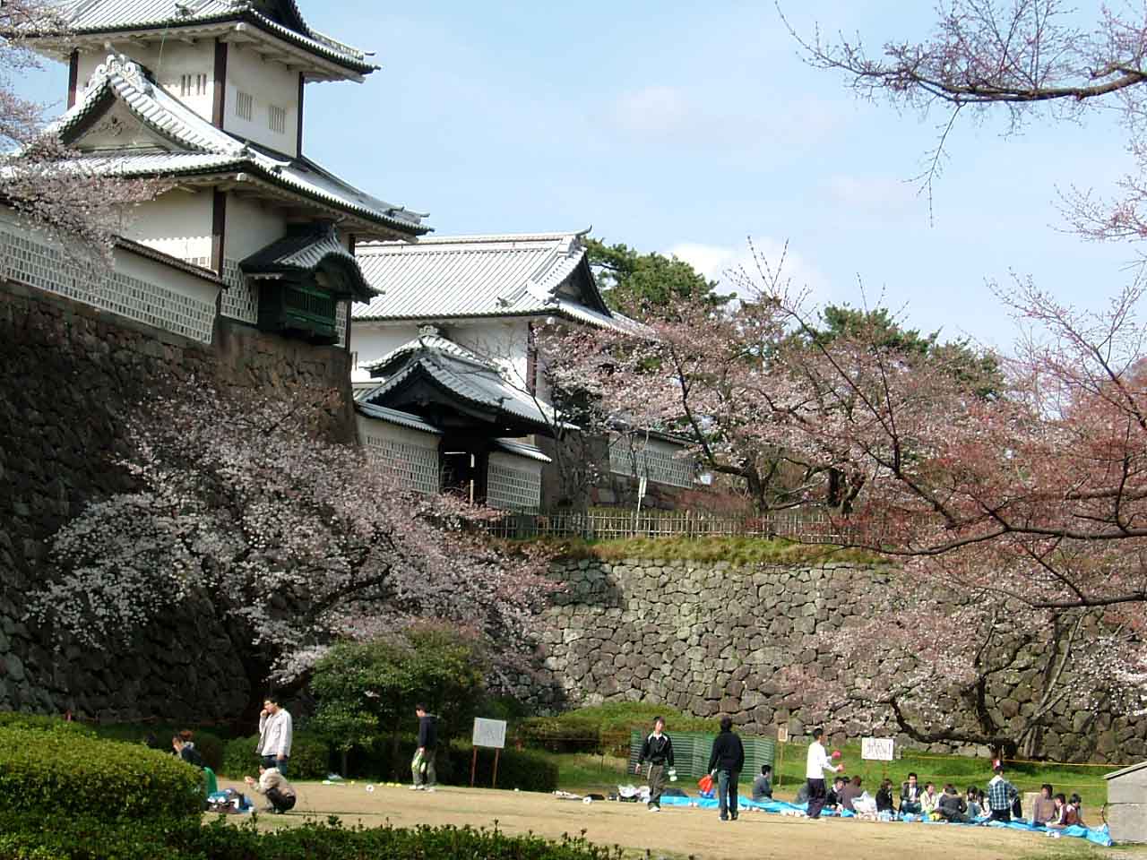 桜がいい感じ_c0110051_16171089.jpg