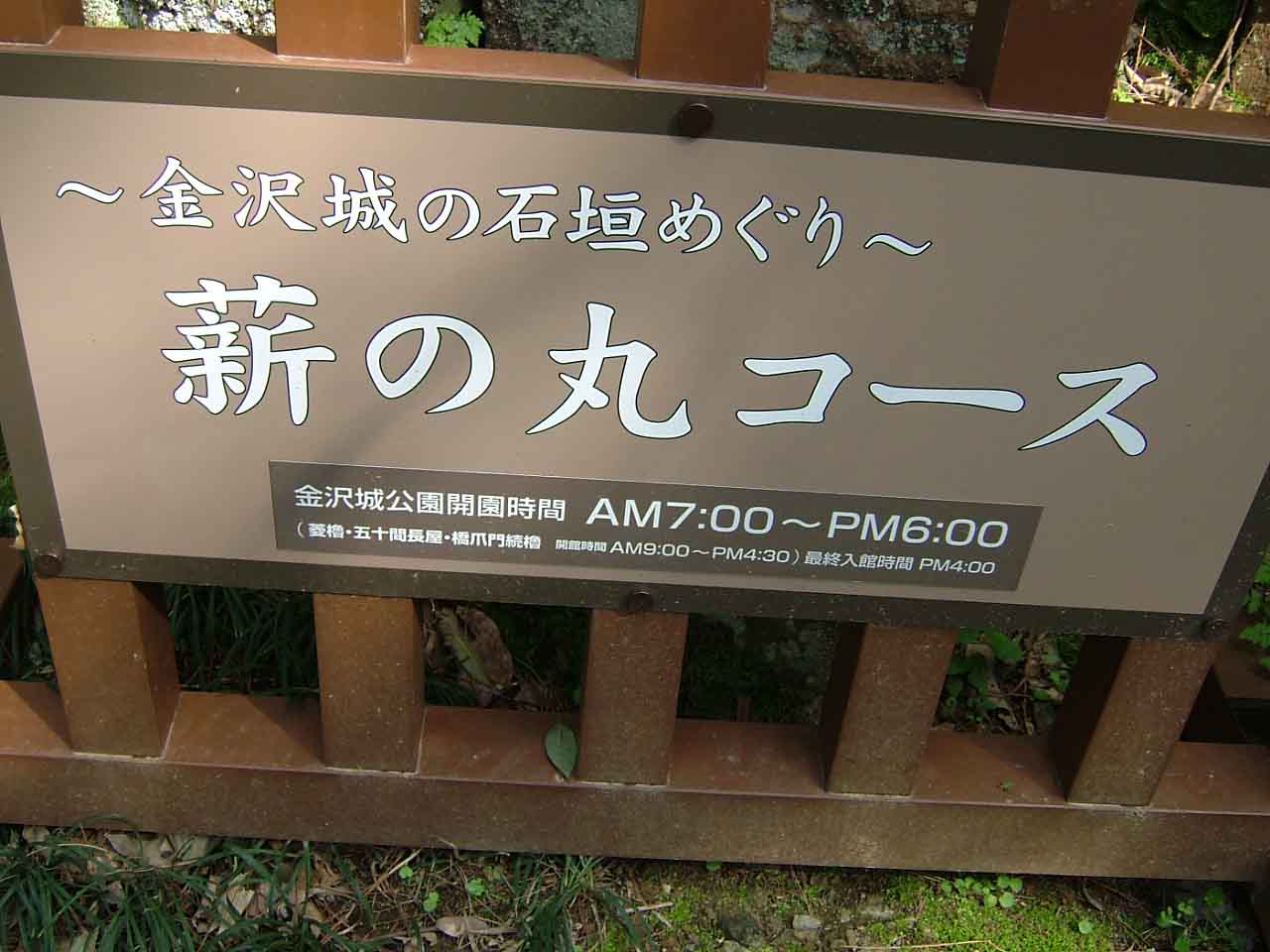 桜がいい感じ_c0110051_16175928.jpg