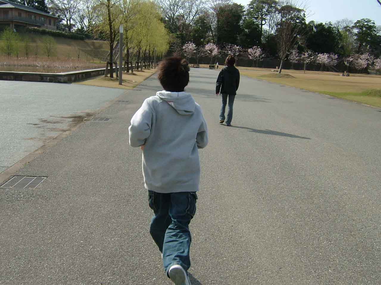 桜がいい感じ_c0110051_16182748.jpg