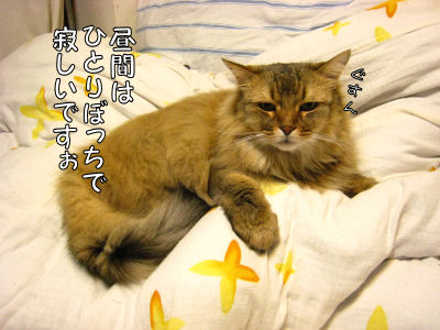 a0045990_0362957.jpg