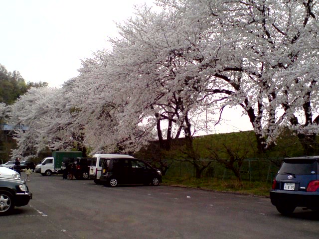 f0103804_2243492.jpg