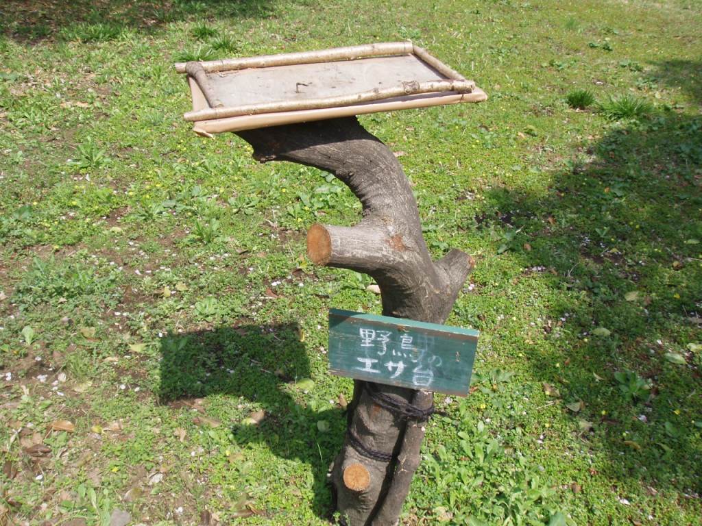 こんなにきれいに食べたのだーれだ?_b0049307_22203144.jpg