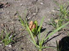 f0102814_43336.jpg