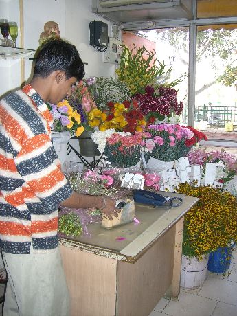 f0099915_9504280.jpg