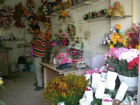 f0099915_9512292.jpg