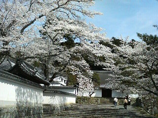 南禅寺の桜＠地下鉄蹴上_b0019820_23475147.jpg