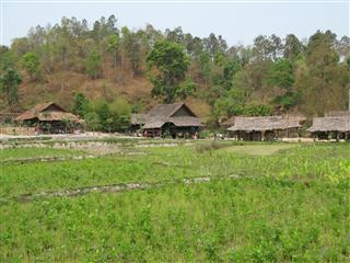 山岳民族の村～タイ便り（４）_c0039428_0261590.jpg