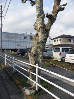 a0033733_9125671.jpg