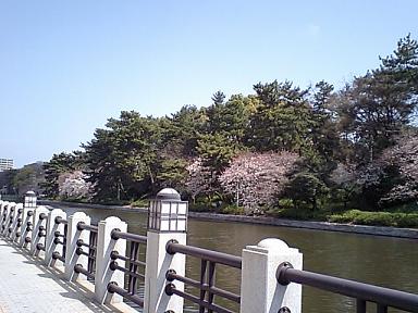 b0108953_11422955.jpg