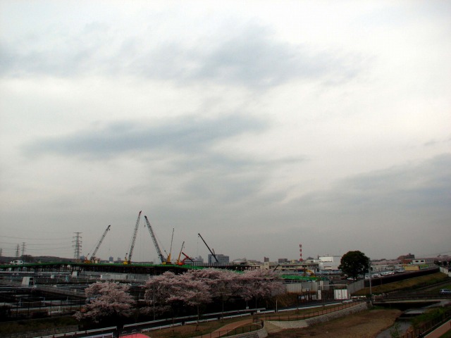 f0067059_17663.jpg