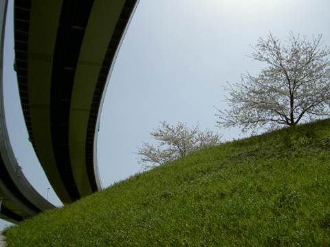 a0053063_23272673.jpg