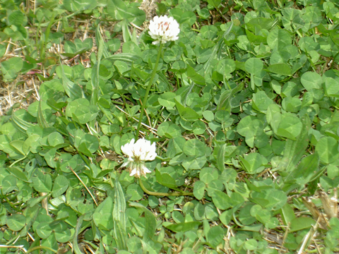 a0053063_23403485.jpg