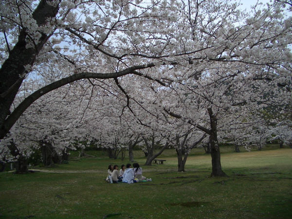 山口県防府市の毛利邸_d0105063_21145267.jpg