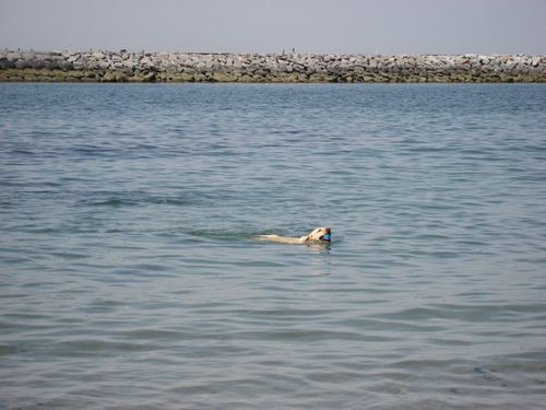 今日のお天気？海でしょう！！_b0094265_16523897.jpg