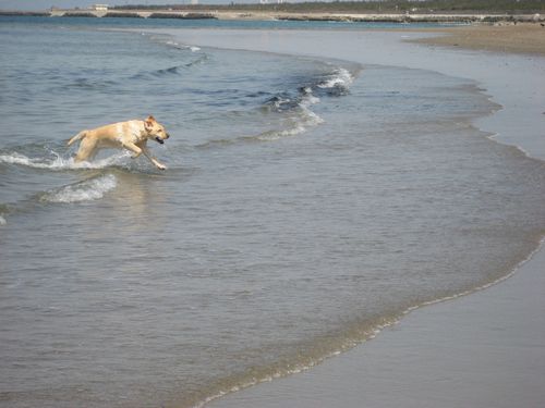 今日のお天気？海でしょう！！_b0094265_16533797.jpg