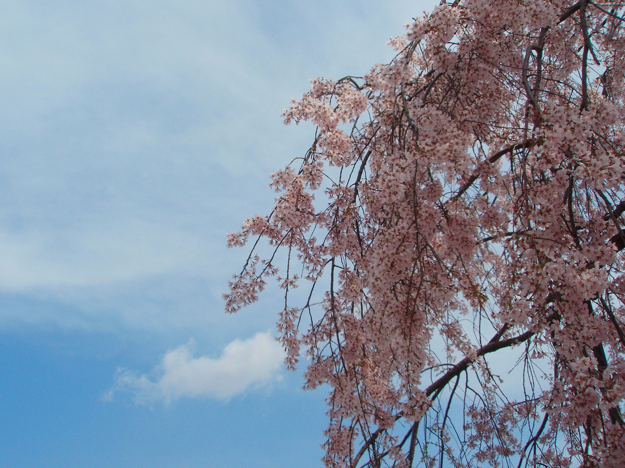 京都旅。_a0103569_21413126.jpg