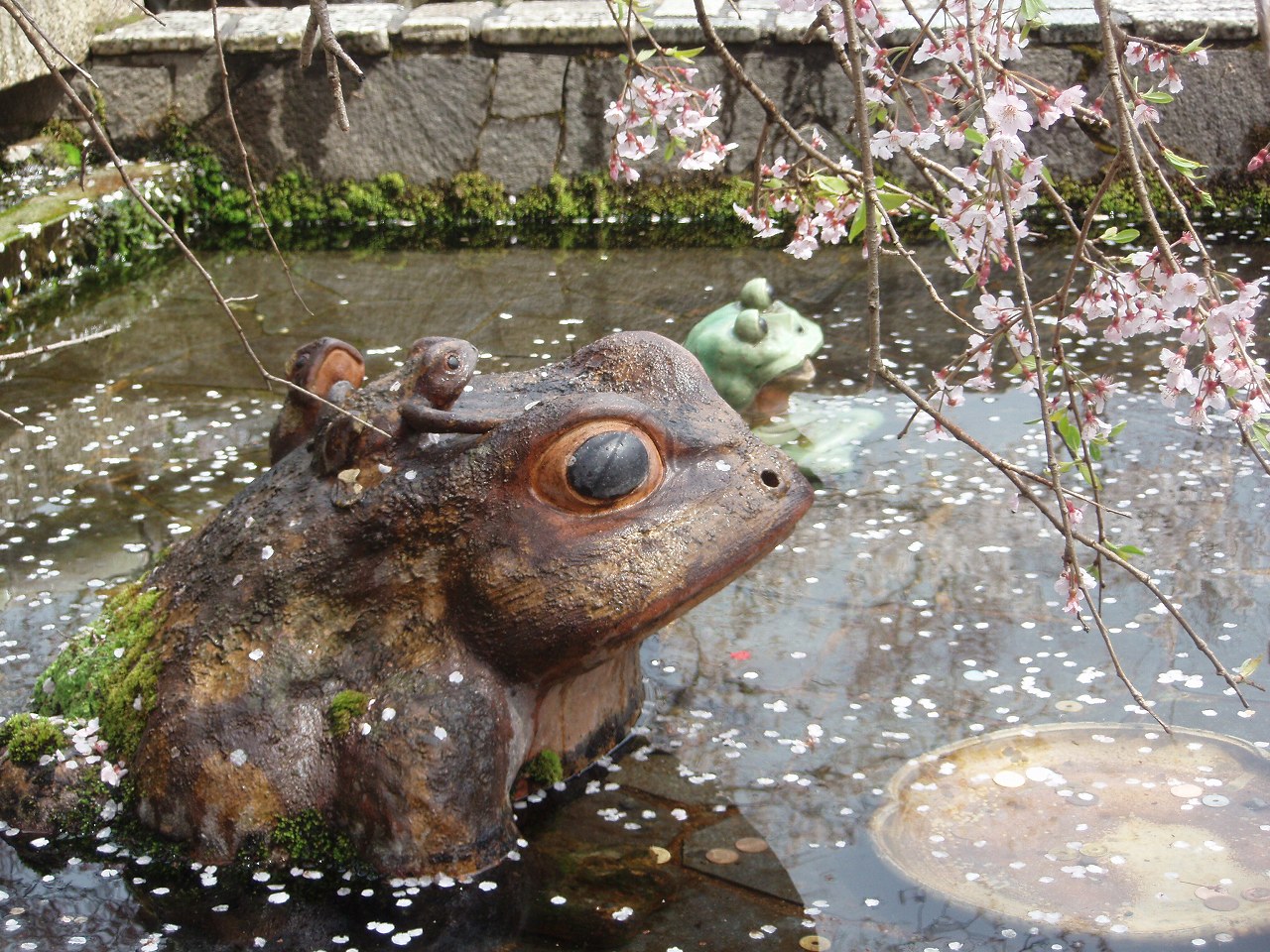 京都旅。_a0103569_21442930.jpg