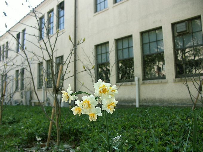 関西学院大学3（神学部、総務館）_f0116479_1175516.jpg