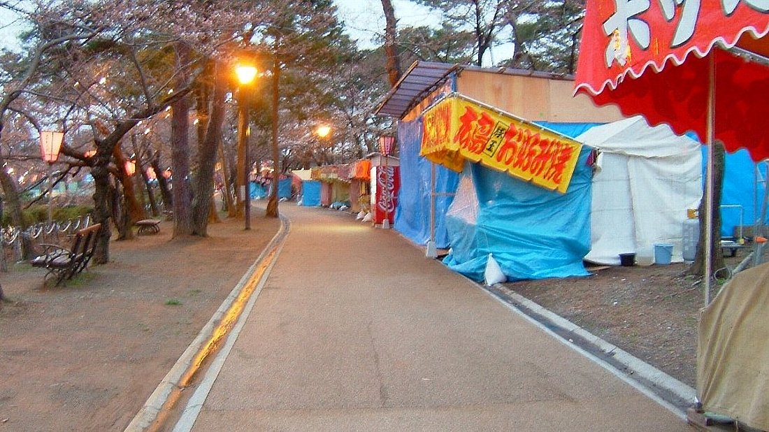 高田城址公園の桜_e0065084_0482417.jpg