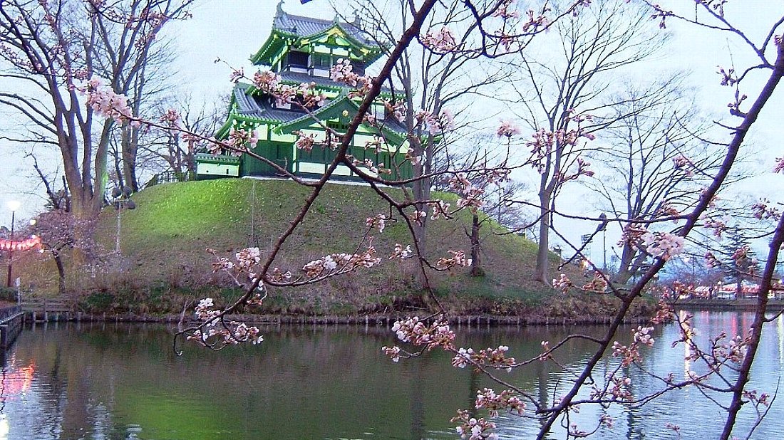 高田城址公園の桜_e0065084_0483546.jpg