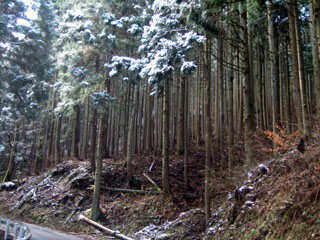 e0047185_044713.jpg