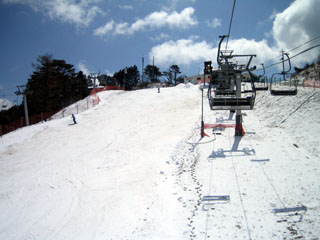 e0047185_045899.jpg