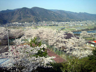e0047185_065427.jpg