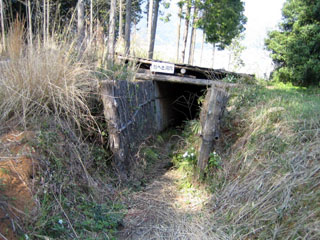 e0047185_07613.jpg