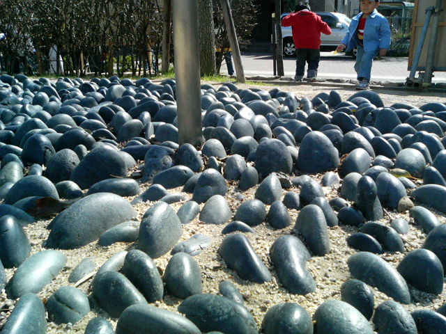 b0050787_10129.jpg