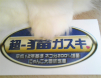 f0092389_1349158.jpg