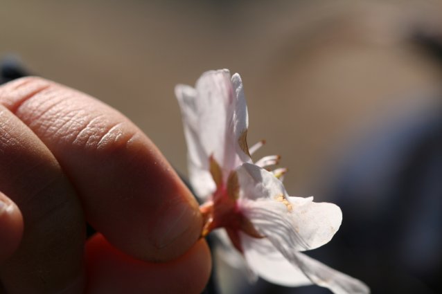 c0084097_6552481.jpg