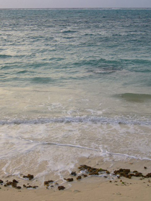 a0022502_7293392.jpg