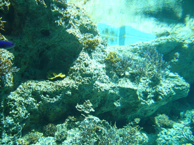 a0022502_804833.jpg