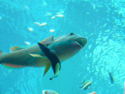 a0022502_812316.jpg