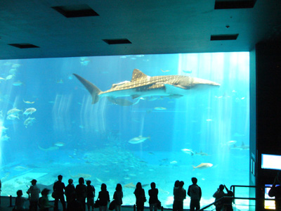a0022502_815622.jpg