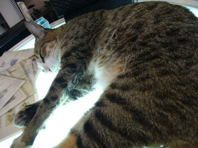 a0022502_8344364.jpg