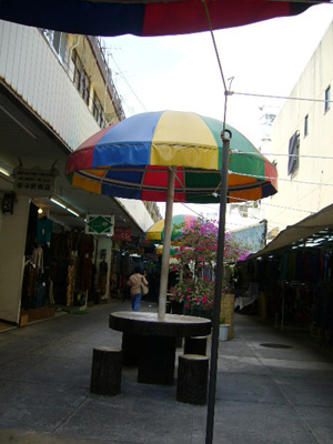 a0022502_835577.jpg