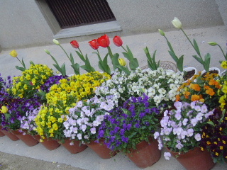 c0052304_1994622.jpg