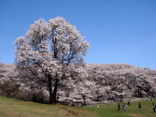 f0080105_22141369.jpg