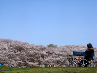 f0080105_22163621.jpg
