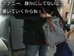 c0031808_2122943.gif