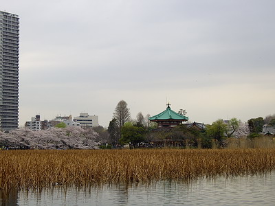 a0091314_1601688.jpg