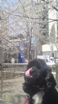 写真を撮る時に_c0099133_143248.jpg