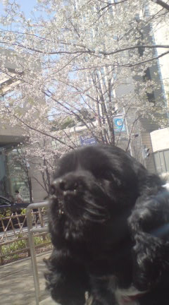 写真を撮る時に_c0099133_148787.jpg