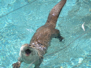 e0074833_11124617.jpg