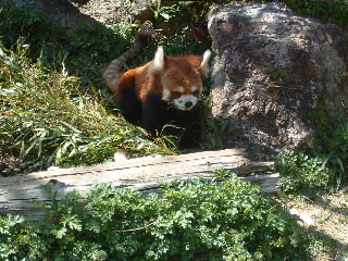e0074833_11233416.jpg