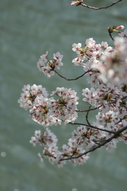 f0042548_22392871.jpg