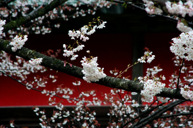 f0042548_22475587.jpg