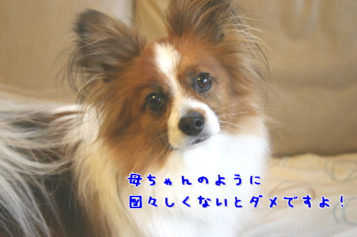 d0013149_95017.jpg