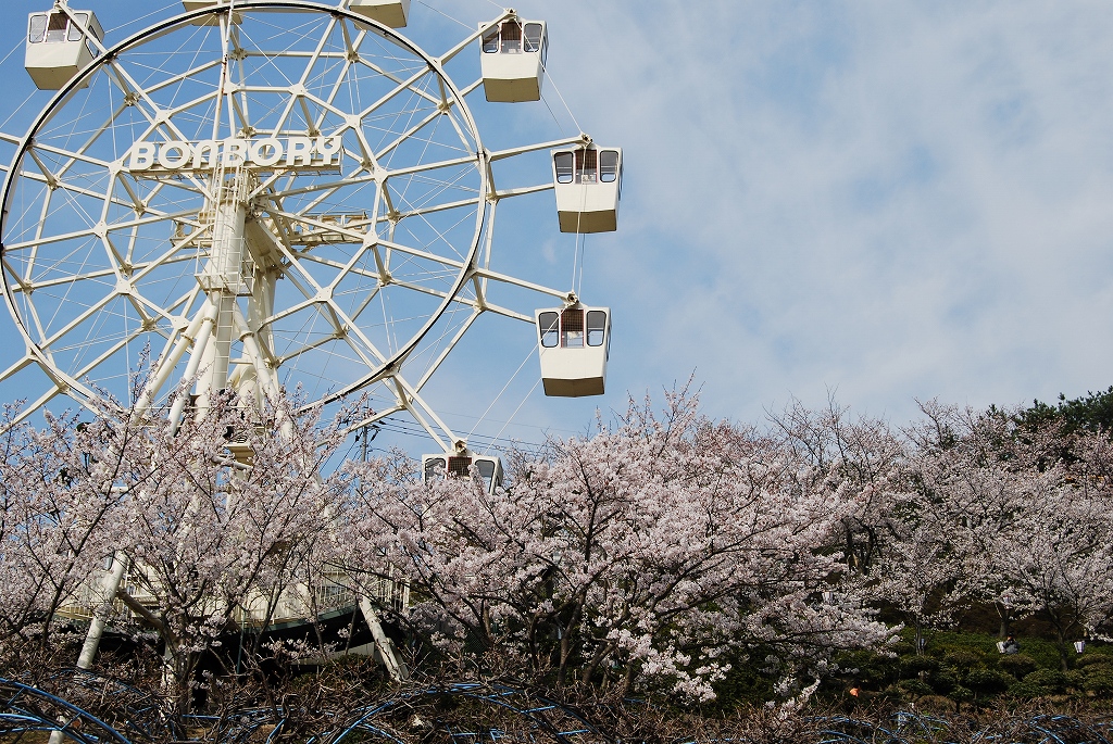 ２００７年４月７日　尾道　桜と猫と犬と猿_f0137351_23174992.jpg